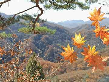 景和山庄车位最新更新概况